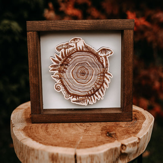 Shadow Box Framed Mushroom Tree Ring Wood Art